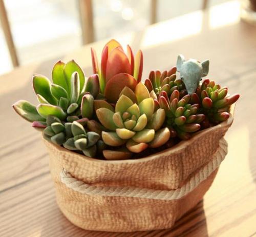 ´óÁ¬ÊÐÖÐСѧ´íʱ´í·å·Å¼Ù Ó×¶ùÔ°Ôªµ©ºóÔÝʱͣ԰