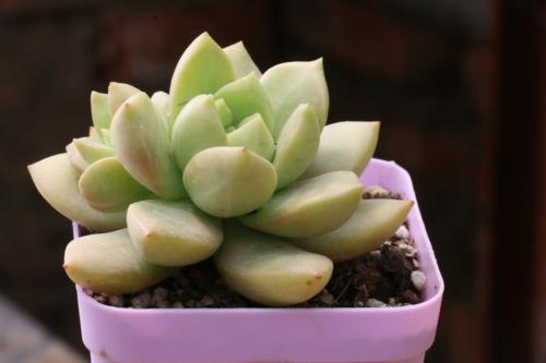 ¼Ò³¤Ôܰà,½Ìʦ͵͵ÊÚ¿Î Éϸö¿Î»¹µÃÇ©±£ÃÜÐÒ飿