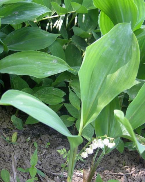 ҹȨͳһǼ202111ʵʩ