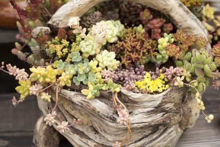 ½Î÷Õâ¸ö³ø·¿µÄÈ˼äÑ̻𣬸ж¯ÁËÕû¸öÖйú