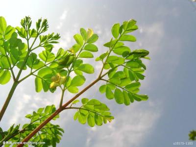 »¥ÁªÍøÆ½Ì¨¿ªÕ¹´æ¿îÒµÎñÊô¡°ÎÞÕÕ¼ÝÊ»¡± ؽ´ý¹æ·¶