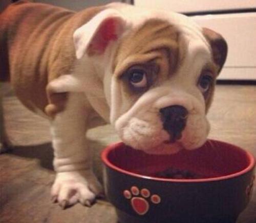 ɽۿൺִŶ:йǻ۸ۿػ