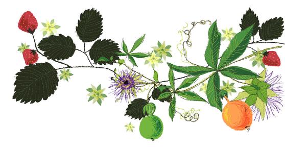 3124ʱ͡ͼ۸ÿϵ90Ԫ85Ԫ