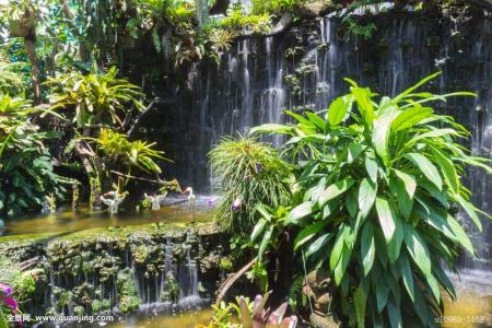 Á½²¿ÃÅ£º×öºÃÐÂÄê´º½ÚÆÚ¼äÓµ¾üÓÅÊôÓµÕþ°®Ãñ¹¤×÷