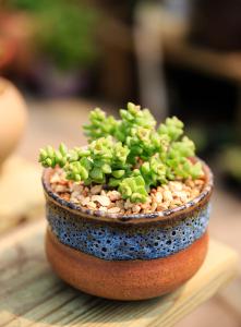 Î岿ÃÅ£ººÏ¹æÔÙÉú¸ÖÌúÔÁÏ2021ÄêÆð¿É×ÔÓɽø¿Ú