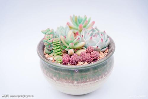 ¹¤ÐŲ¿£º2021ÄêÎÒ¹ú½«Ð½¨5G»ùÕ¾60Íò¸öÒÔÉÏ