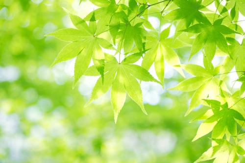 Òø±£¼à»á³ǫ̈¶ÀÁ¢¸öÈ˱£ÏÕ´úÀíÈ˼à¹Ü¹æ¶¨