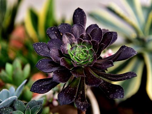 ÐÅÓÃծͳһÐÅÏ¢Åû¶¹æÔò£¬ÂòÕ®Òª¿´¡°ËµÃ÷Ê顱